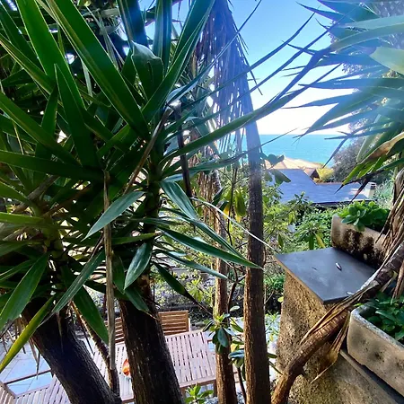 La Di アパート モネーリア