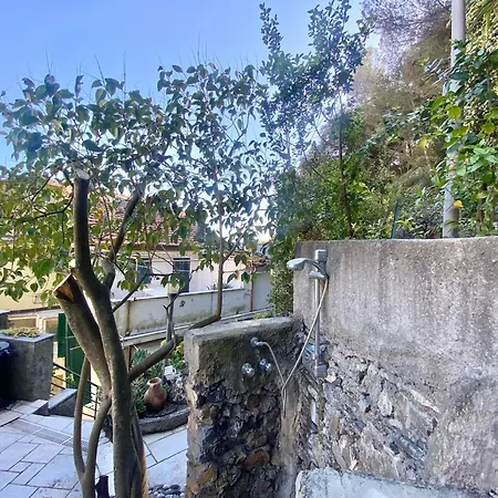 La Di モネーリア